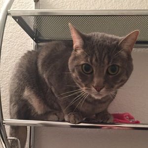 Meet your Posher, Felicia